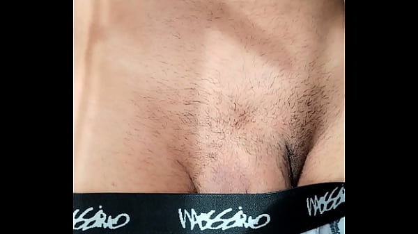 boxer hot