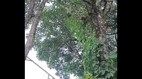 Novinho se perdeu no mato e negão ajudou ele em troca do cuzinho (COMPLETO NO RED)