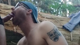 Forest Cum Fun