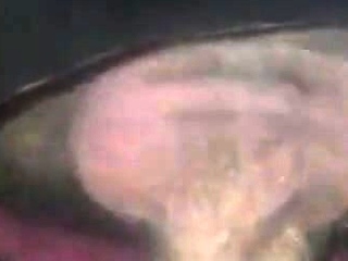 Gloryhole Amateur Takes Bareback Loads