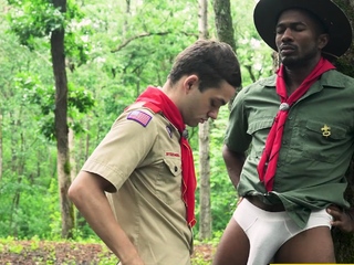 Let’s do it like they do on the Discovery Channel