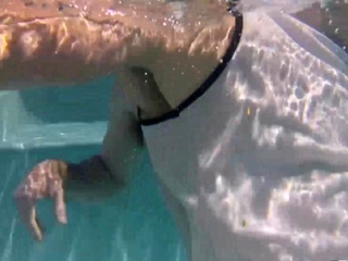 BAREBACKTHATHOLE Hung Sherman Maus Barebacks Sean Knight